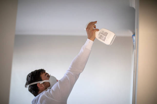 Trusted Benton Harbor, MI Mold Removal Experts